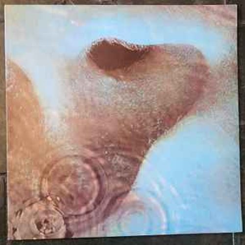 R-1340955-1741834346-8572
