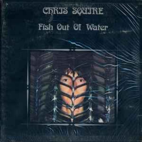 fish out of water