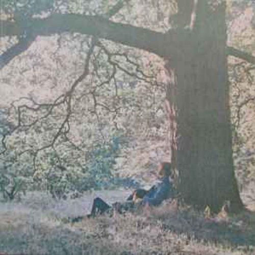 yoko ono